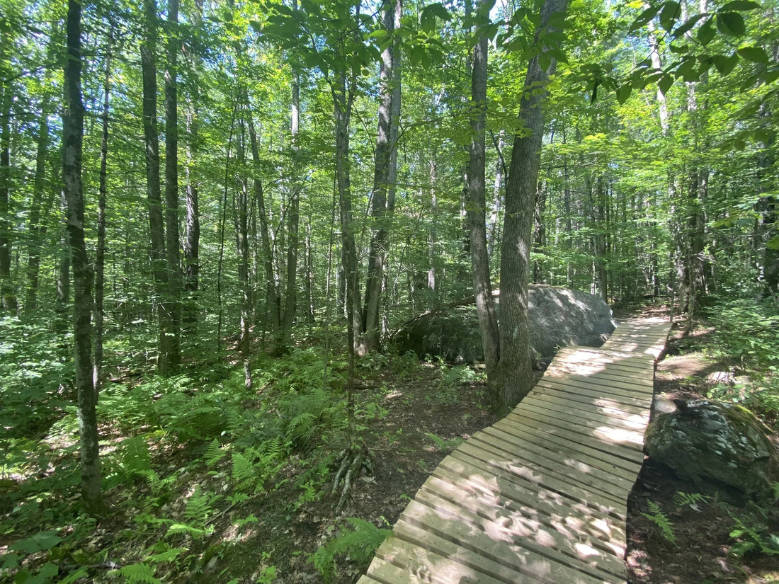 Best or Top Menu Design Agencies and Companies in Montpelier, Vermont