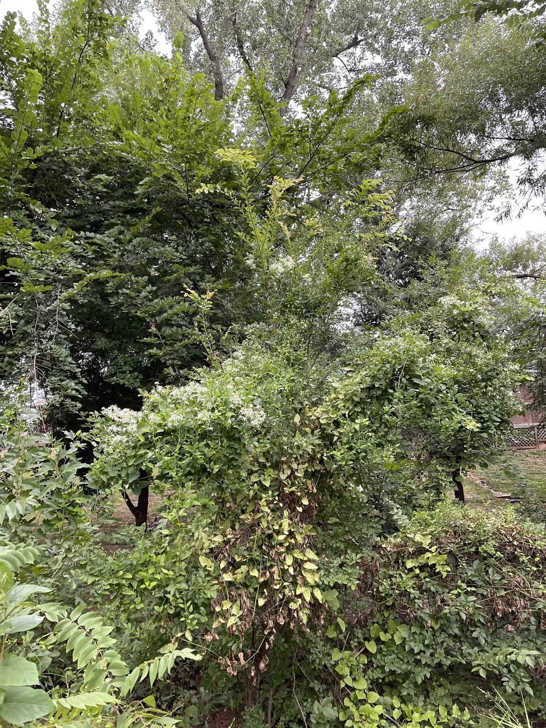 Best or Top Social Media Design Agencies and Companies in Yukon, Oklahoma