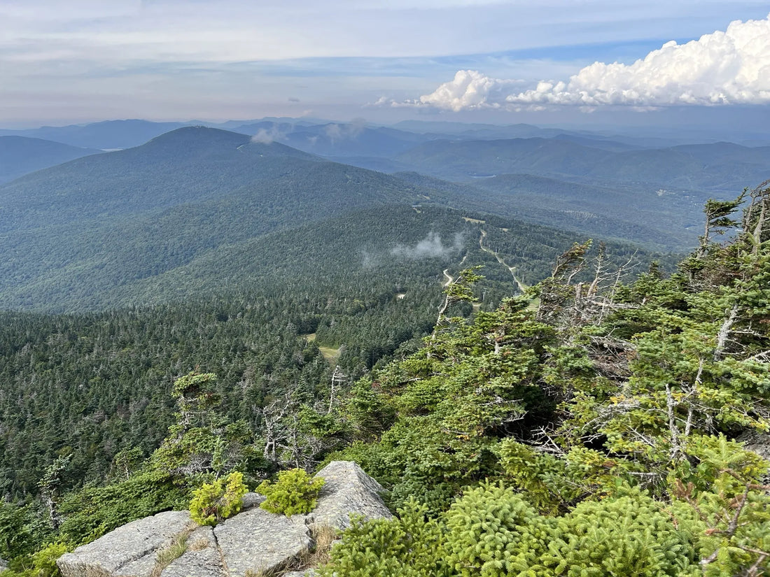 Best or Top Cartoons & Comics Agencies and Companies in Montpelier, Vermont