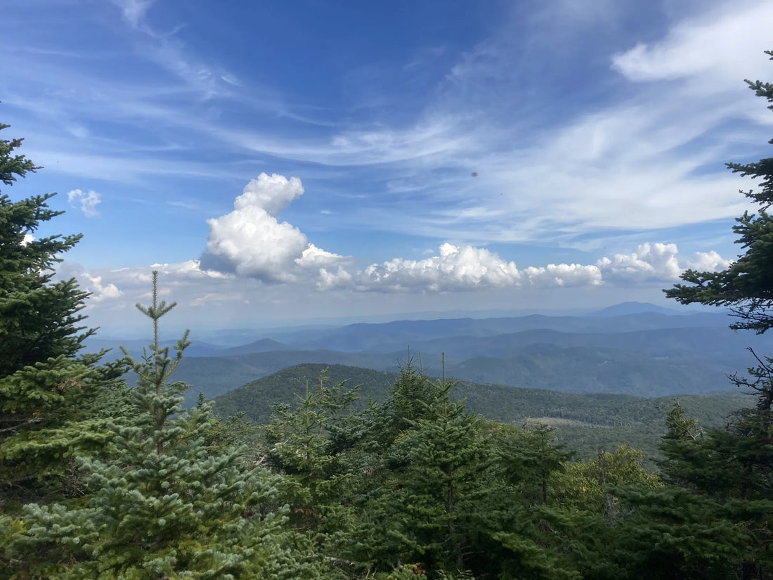 Best or Top Snapchat Management Agencies and Companies in Montpelier, Vermont