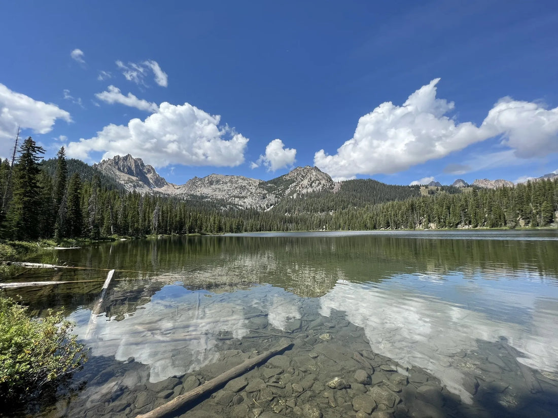 Top or Best Copywriting Agencies and Companies in Idaho