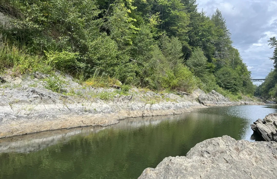 Top or Best Animation &amp; Motion Graphics Agencies and Companies in Hartford, Vermont