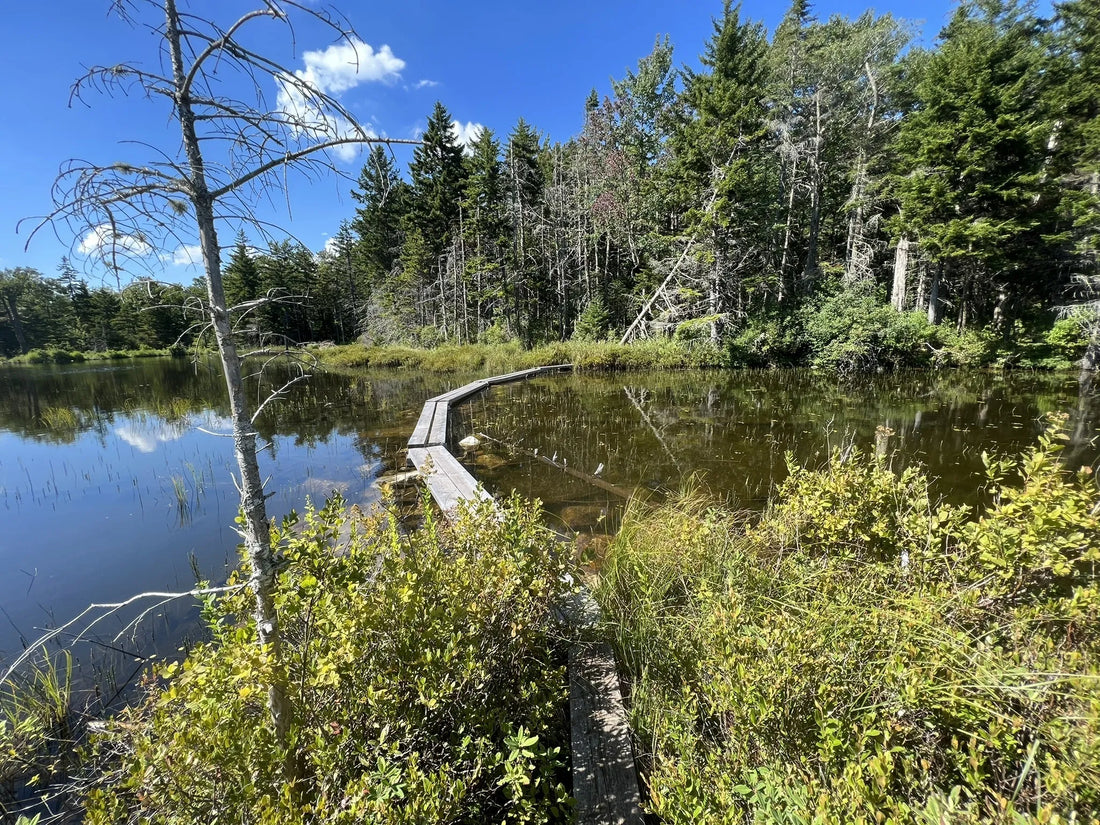 Best or Top Logo Design Agencies and Companies in St. Johnsbury, Vermont