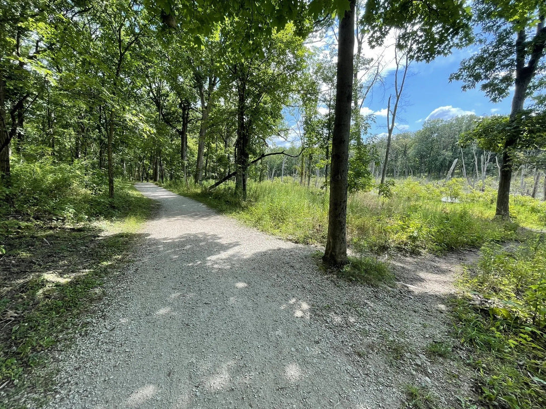 Top or Best Tattoo Design Agencies and Companies in Illinois