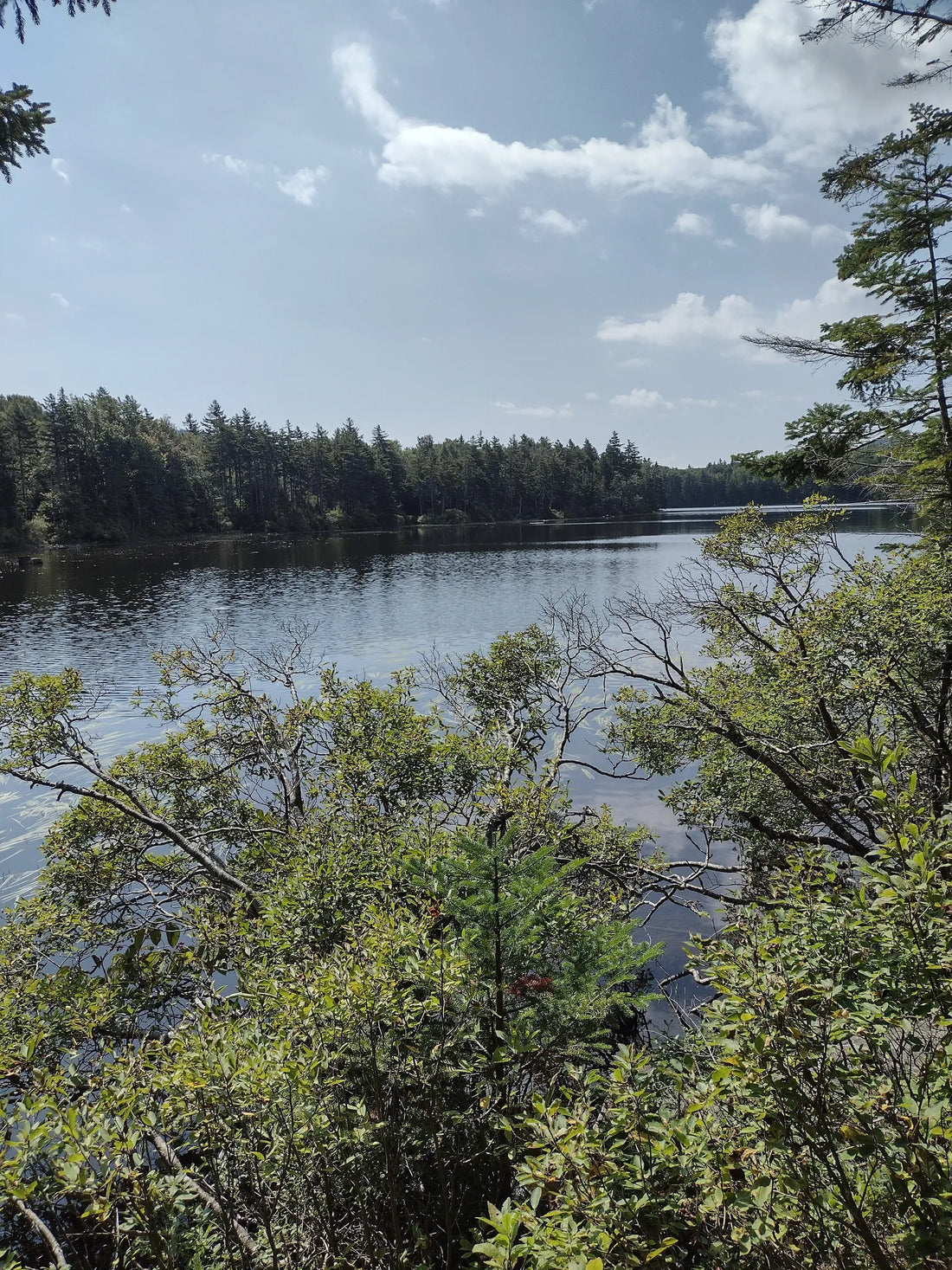 Best or Top YouTube Management Agencies and Companies in Montpelier, Vermont