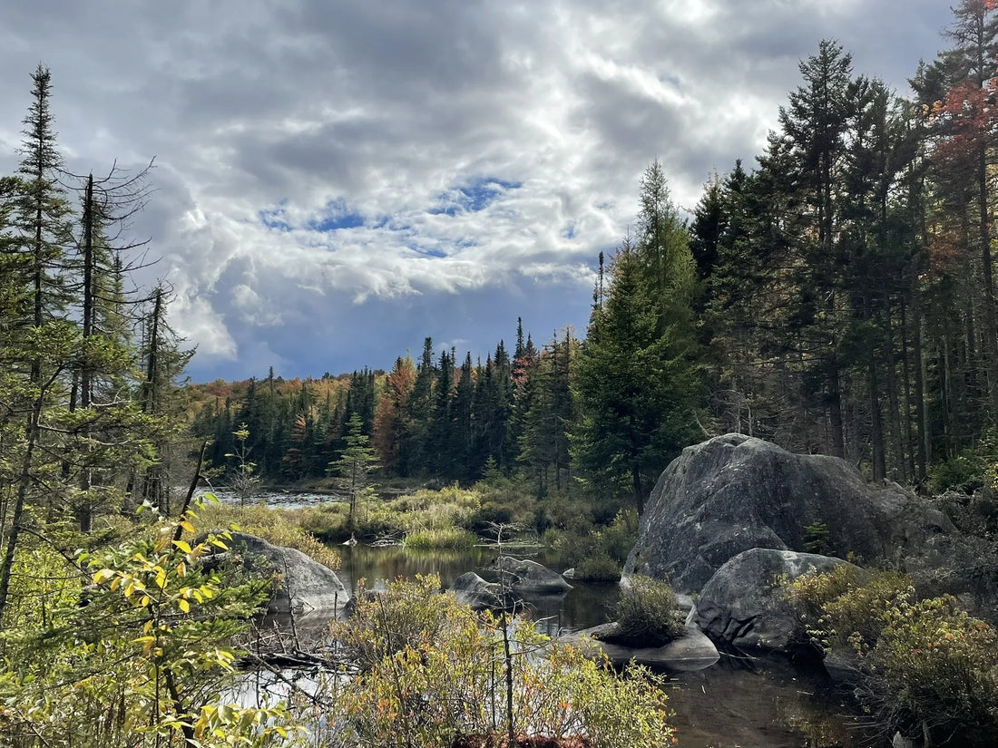 Best or Top AR Filters & Lenses Agencies and Companies in Winooski, Vermont