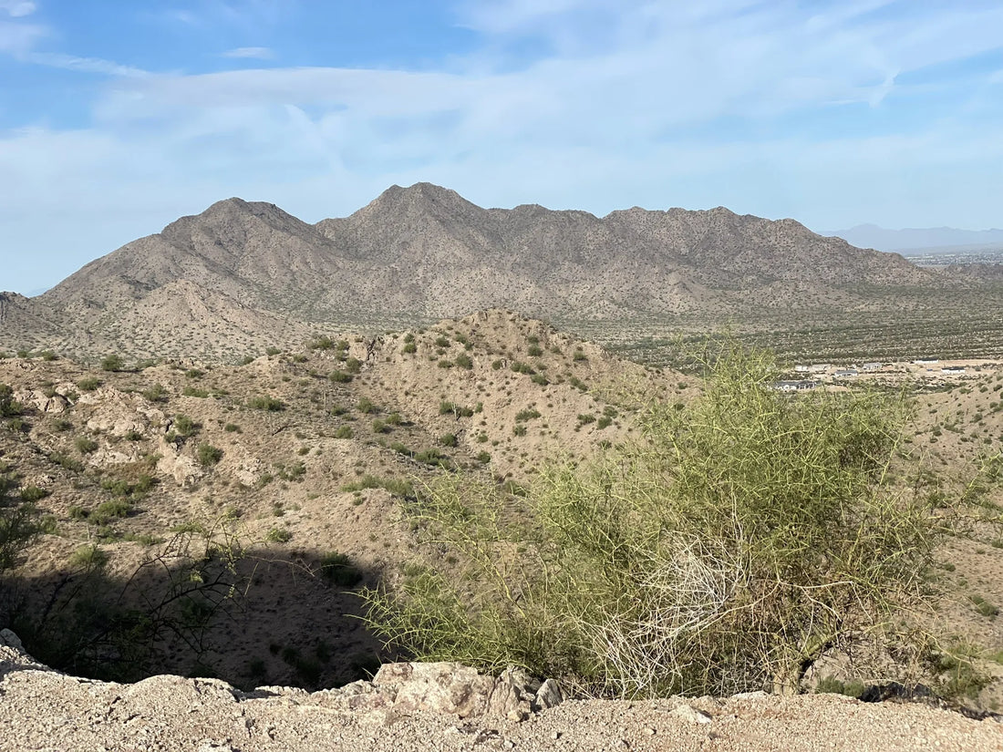 Brand Collaboration in Arizona