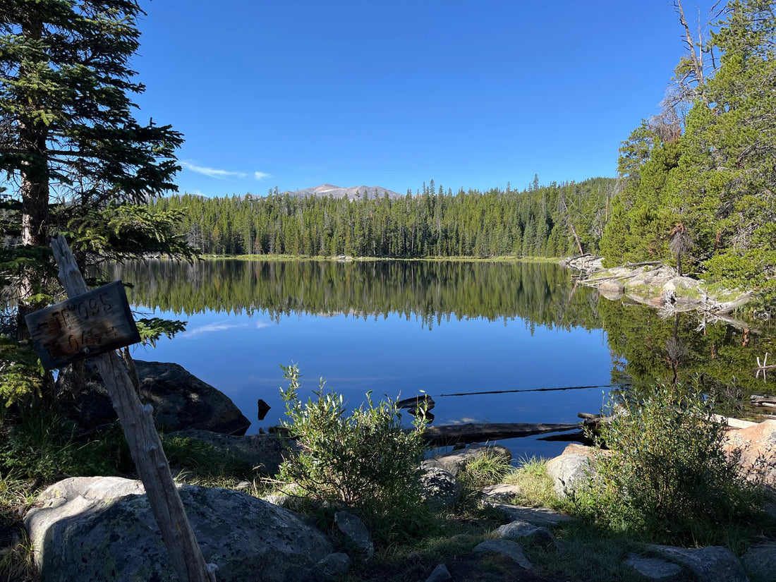 Best or Top Flyer Design Agencies and Companies in Worland, Wyoming