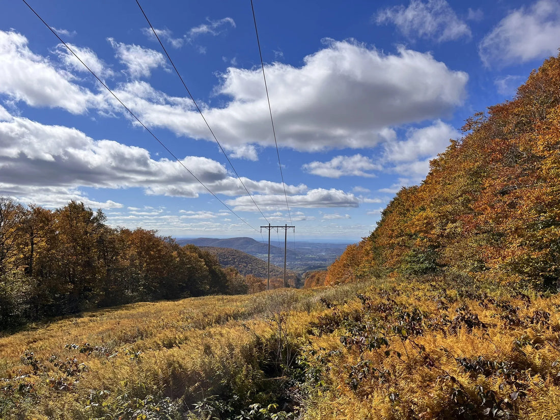 Best or Top Presentation Design Agencies and Companies in Springfield, Vermont