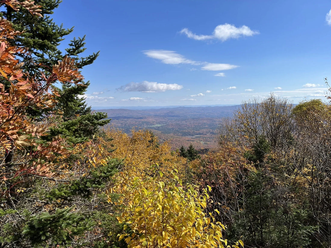 Best or Top Flyer Design Agencies and Companies in Springfield, Vermont