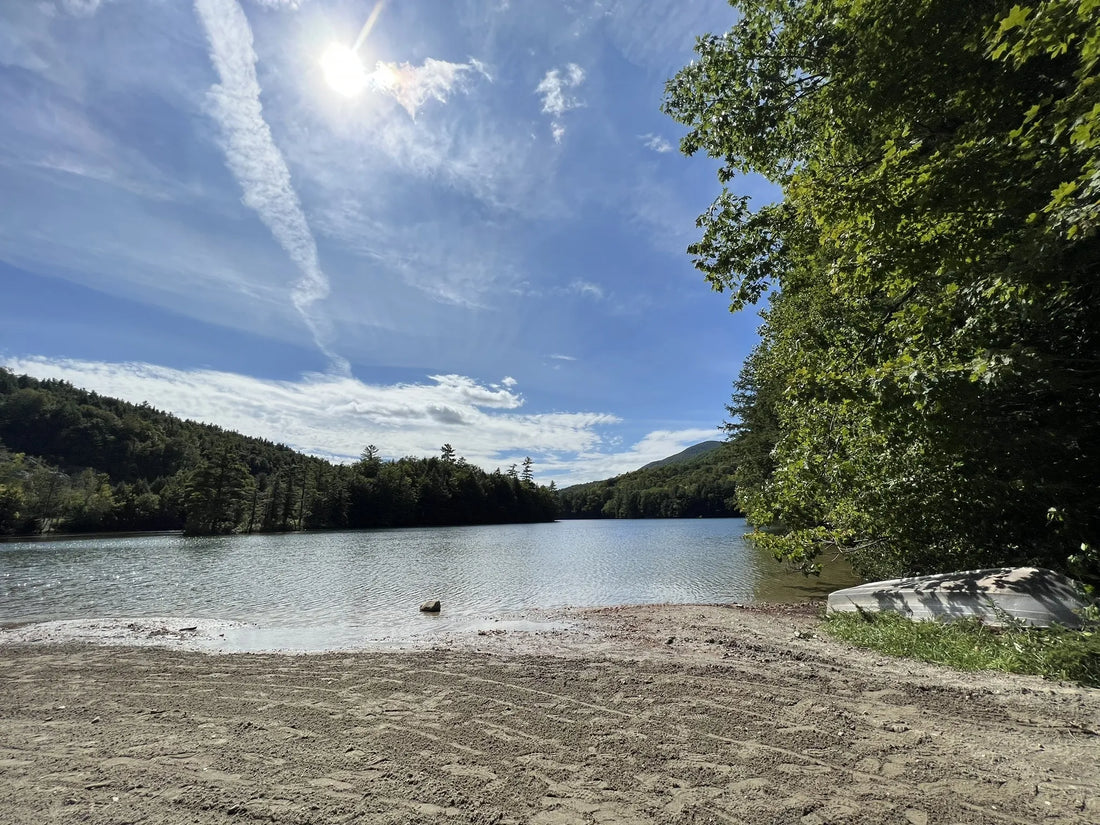 Best or Top Twitch Management Agencies and Companies in Montpelier, Vermont