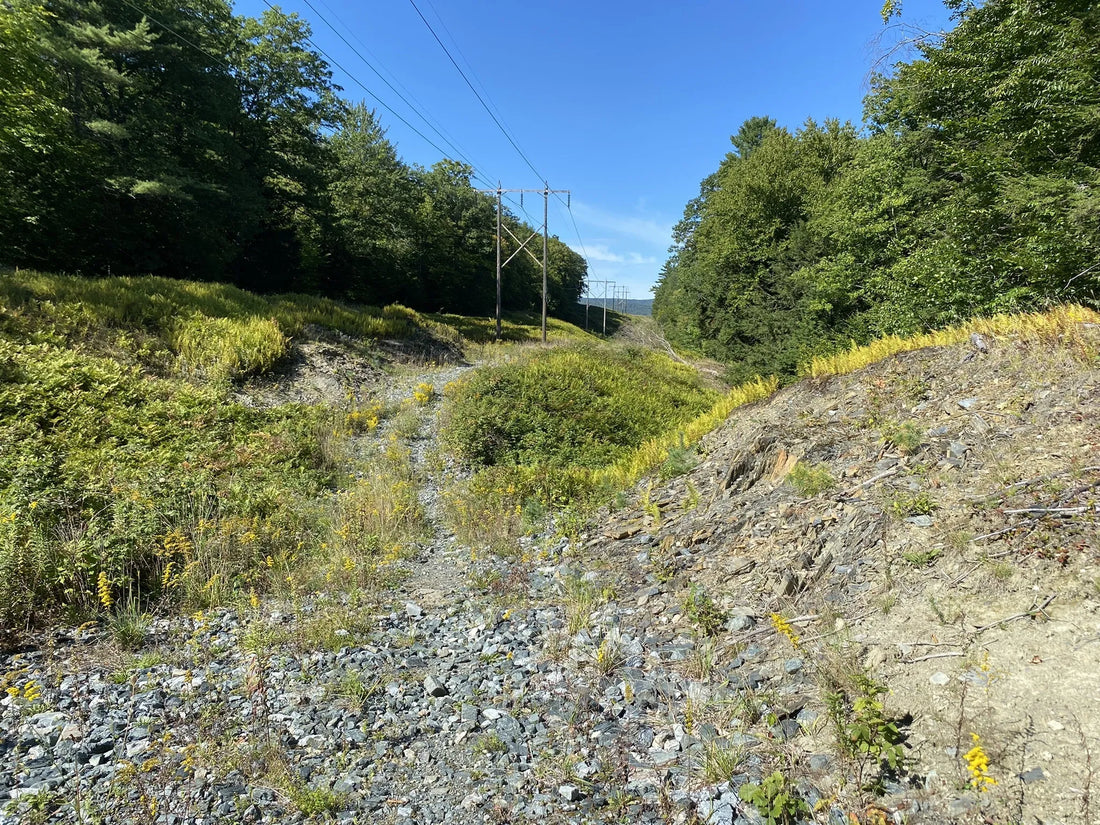 Best or Top Website Design Agencies and Companies in Montpelier, Vermont