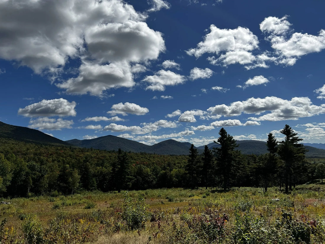 Best or Top Flyer Design Agencies and Companies in Barre City, Vermont