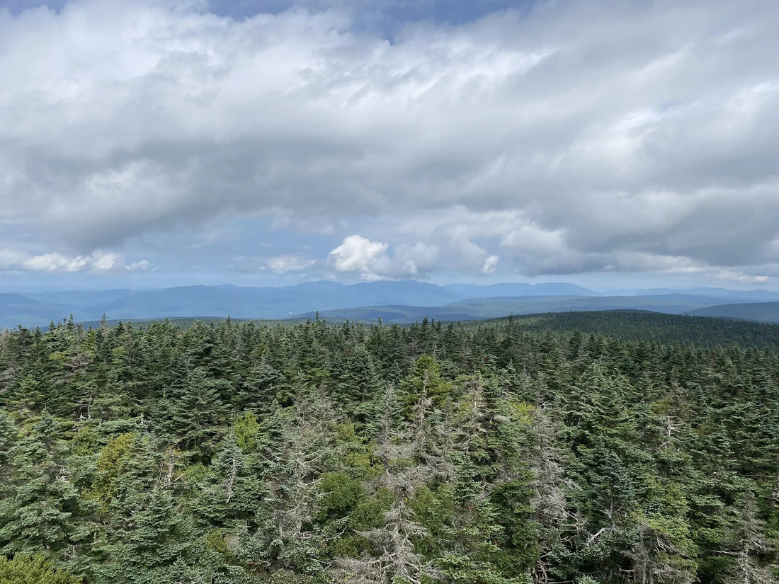 Best or Top LinkedIn Management Agencies and Companies in Montpelier, Vermont