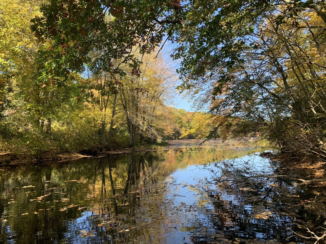 Top Influencer Agencies and Companies in Connecticut