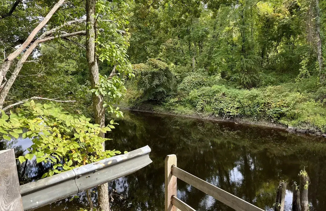 Top Photo Editing Agencies and Companies in Taunton, Massachusetts