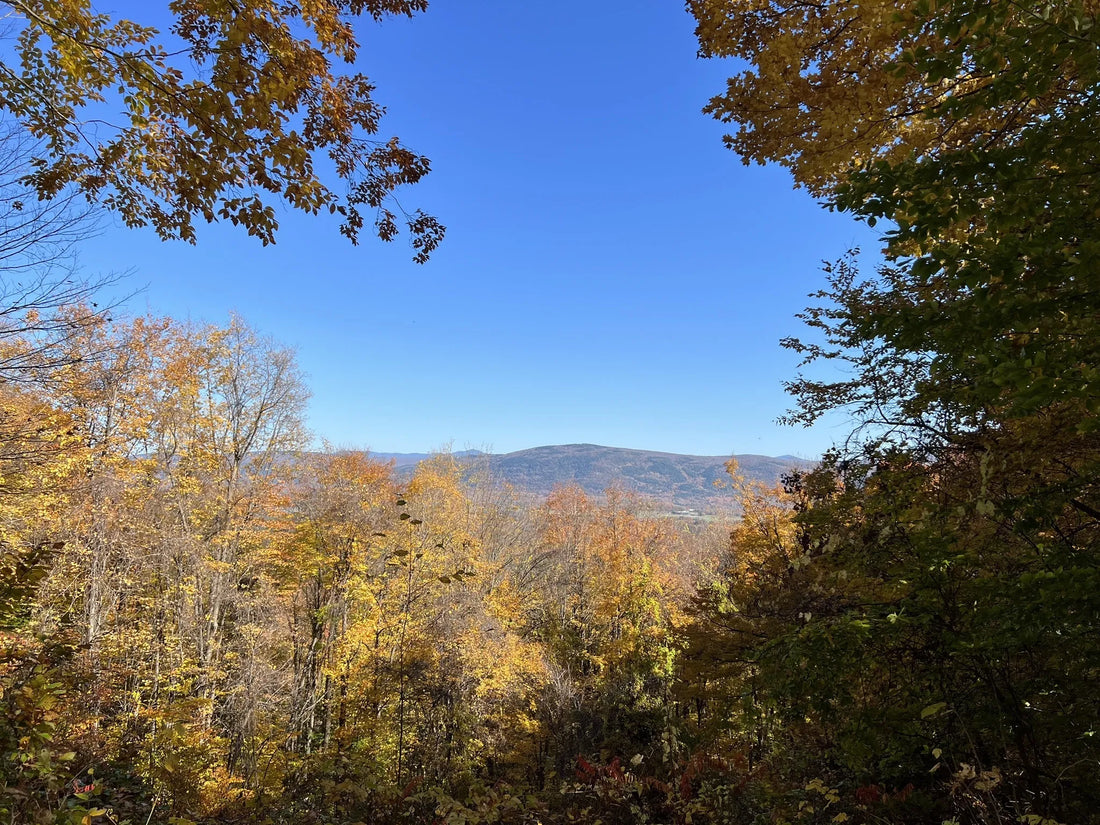 Best or Top Virtual Background Design Agencies and Companies in St. Johnsbury, Vermont