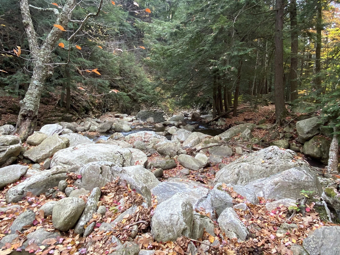 Best or Top Graphics for Streamers Agencies and Companies in St. Albans town, Vermont