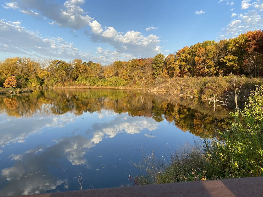 Top or Best Drawing & Illustration Agencies and Companies in Illinois