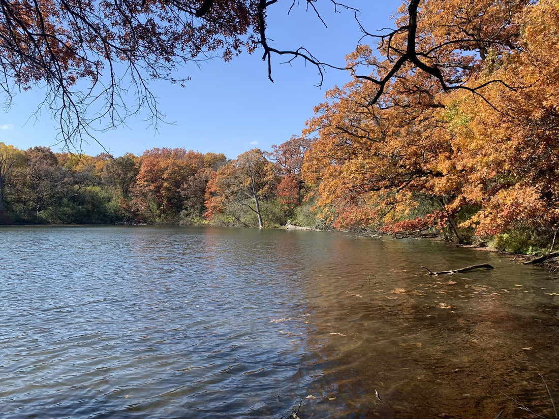 Top or Best Athlete Brand Partnership Agencies and Companies in Illinois