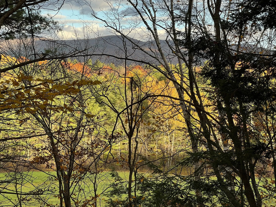 Best or Top Infographic Design Agencies and Companies in Montpelier, Vermont