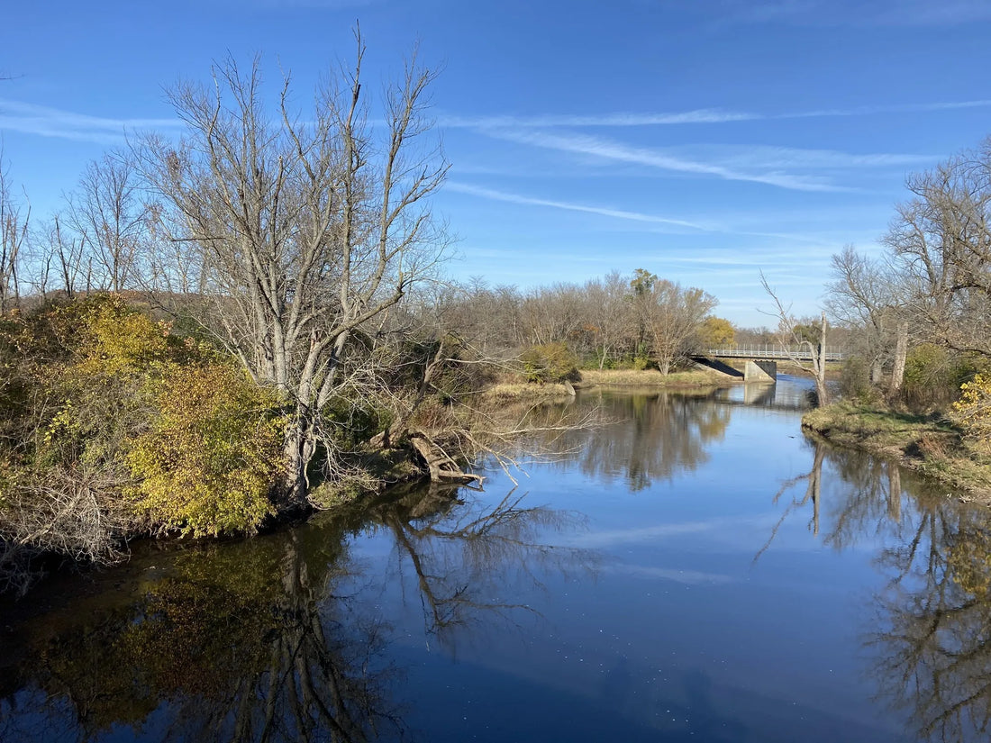 Top or Best Presentation Design Agencies and Companies in Illinois