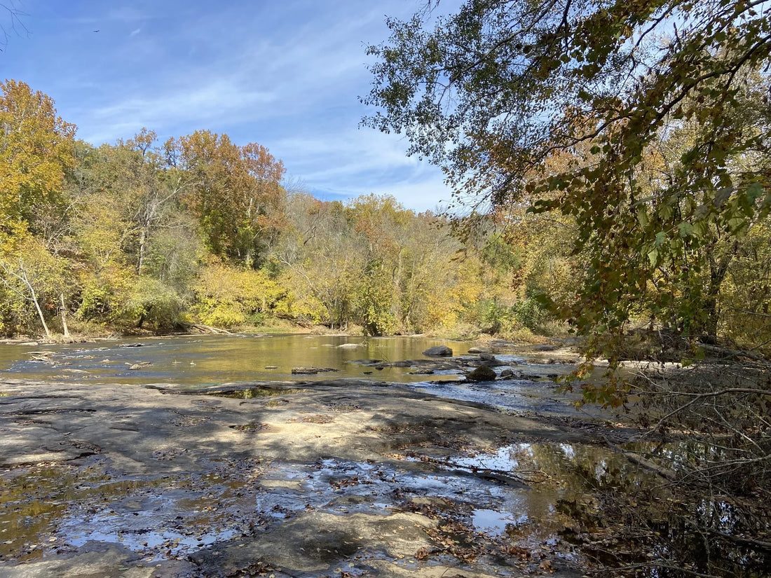 Best or Top Animation & Motion Graphics Agencies and Companies in Anderson, South Carolina