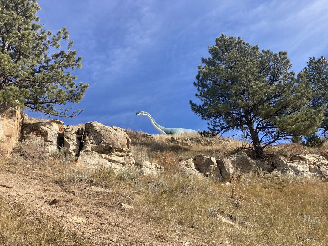 Best or Top Menu Design Agencies and Companies in Sioux Falls, South Dakota