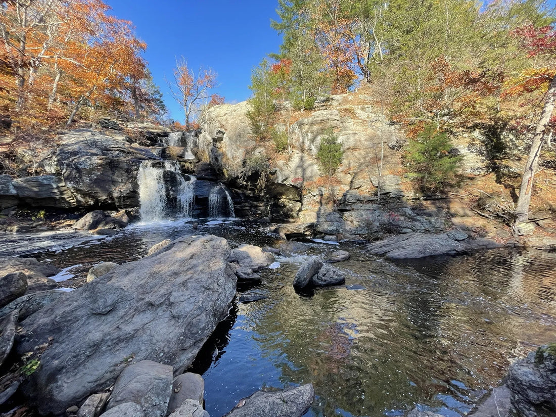 Top Brand Collaboration Agencies and Companies in Connecticut