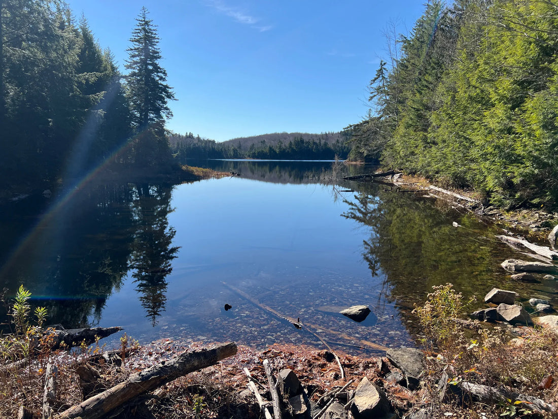 Best or Top App UI/UX Design Agencies and Companies in Montpelier, Vermont