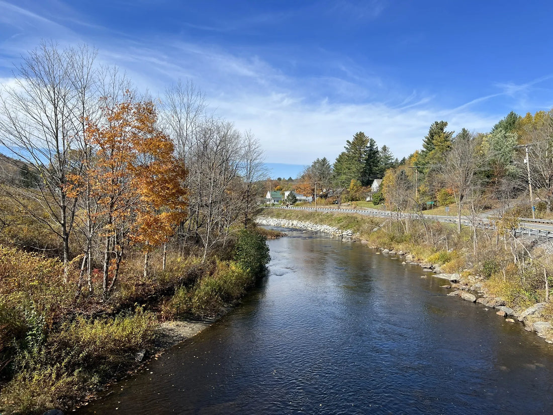 Best or Top Social Media Design Agencies and Companies in Williston, Vermont