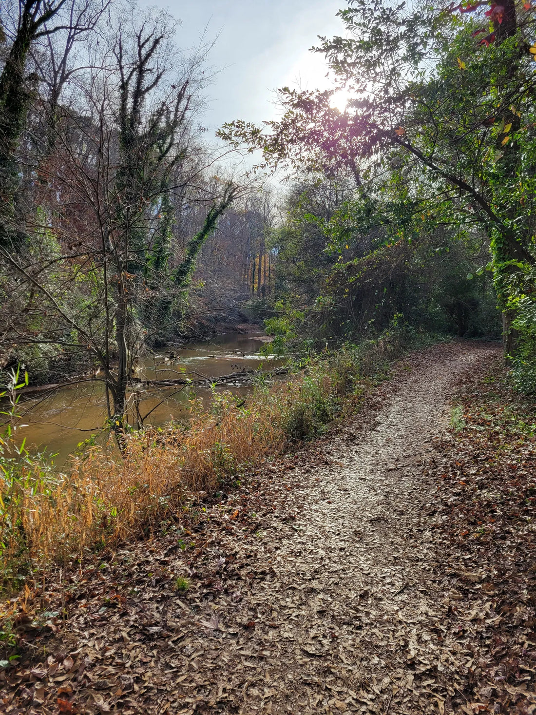 Best or Top NFT Art Agencies and Companies in Aiken, South Carolina