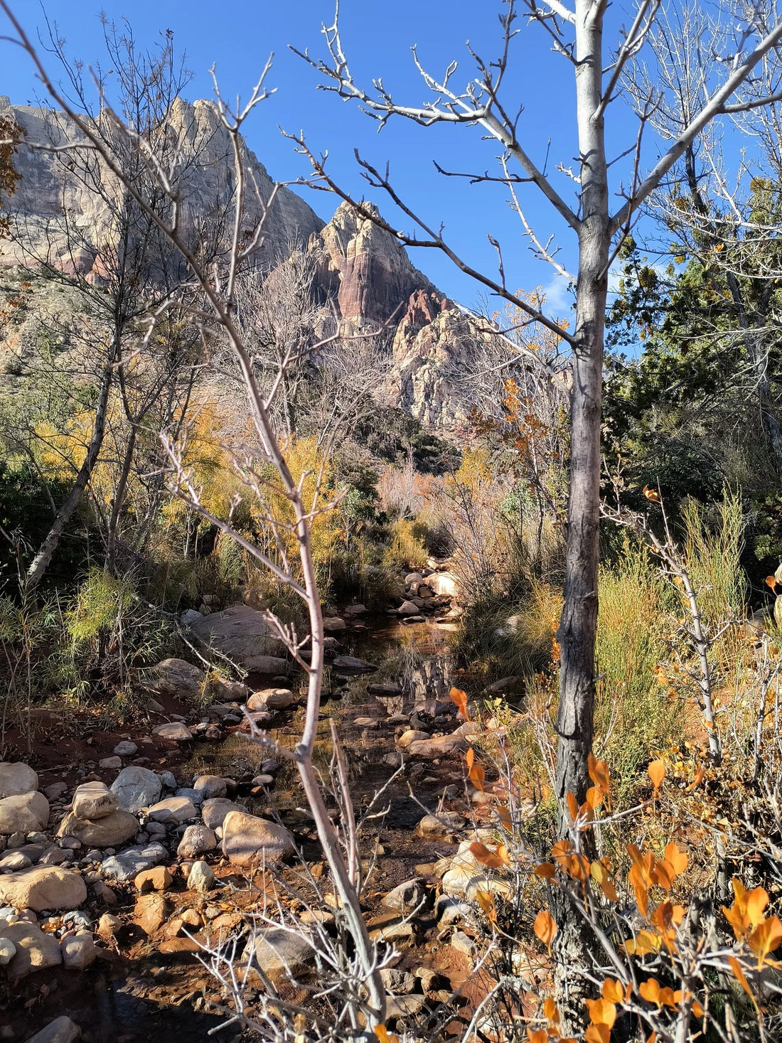 Best or Top Menu Design Agencies and Companies in North Las Vegas, Nevada