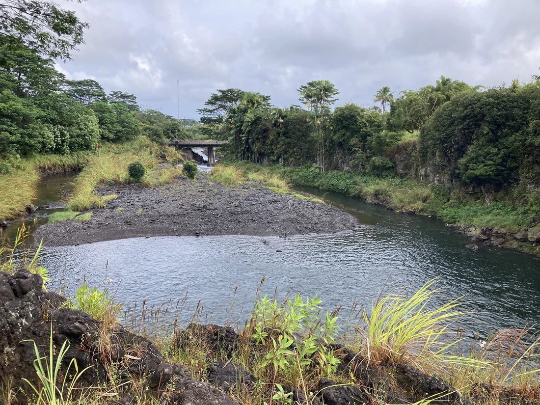 Top Influencer Marketing Campaign Agencies and Companies in Hawaii