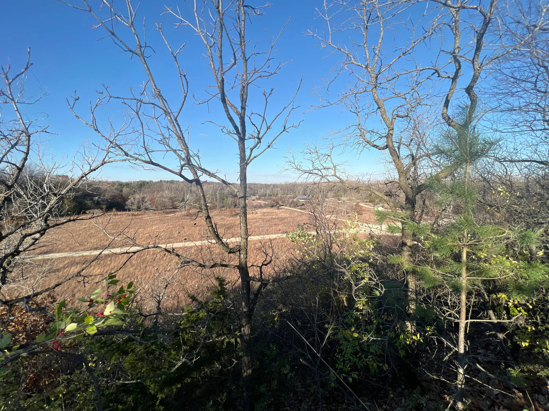 Top or Best Business Card Design Agencies and Companies in Illinois