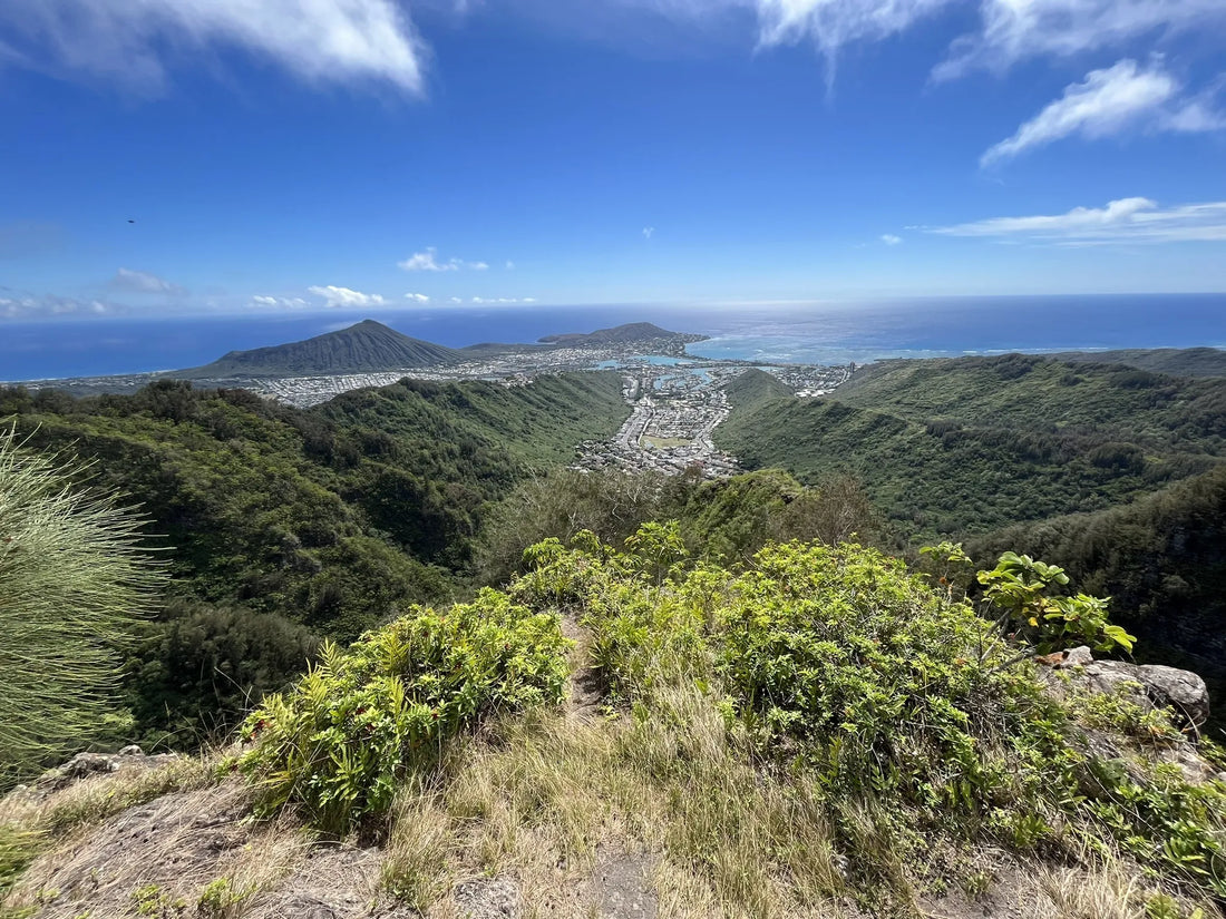 Top or Best Album Cover Design Agencies and Companies in Hawaii