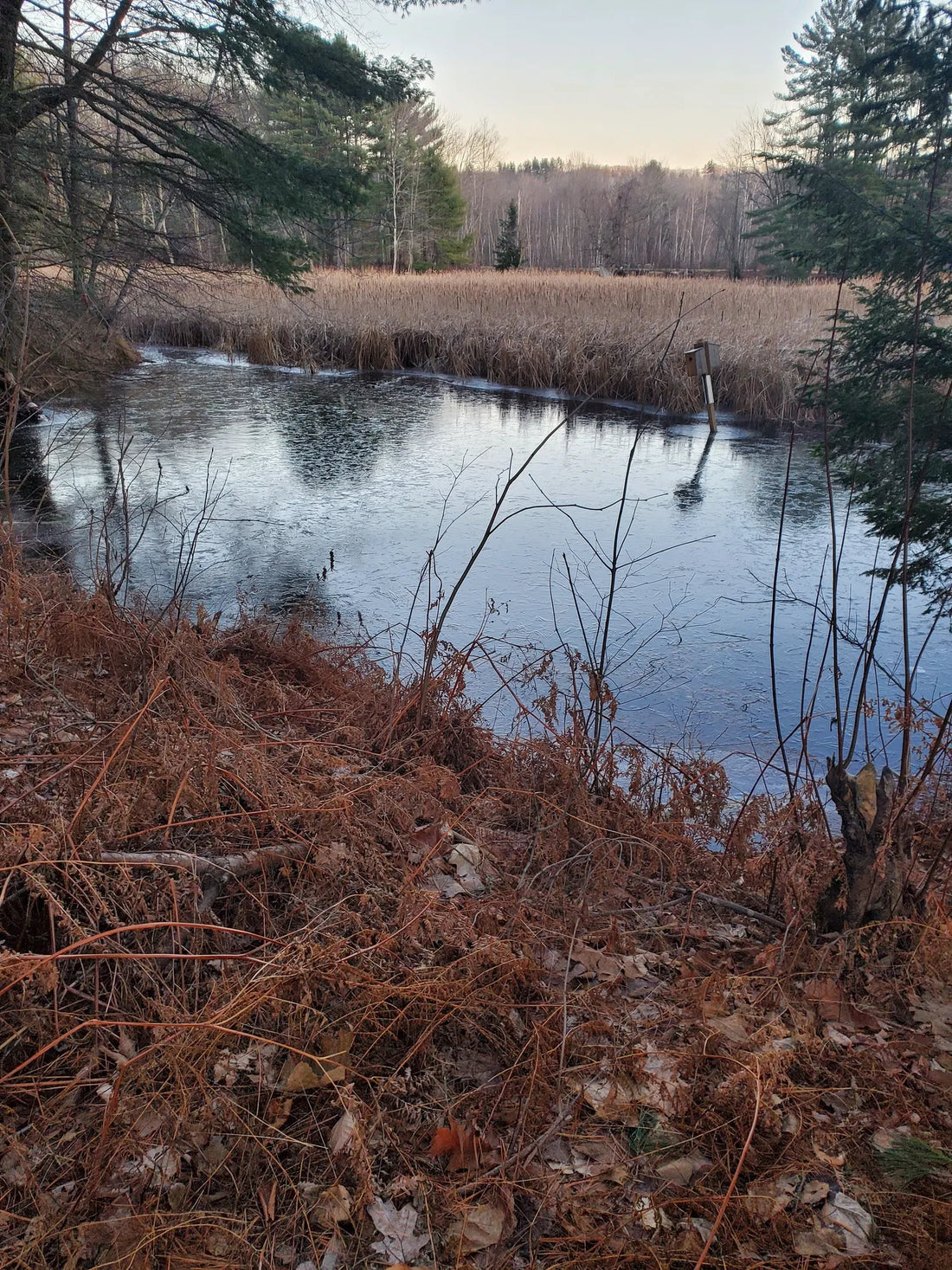 Best or Top Storyboards Agencies and Companies in St. Johnsbury, Vermont