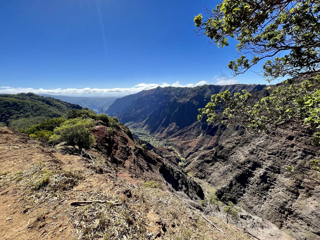 Top or Best Athlete Brand Collaboration Agencies and Companies in Hawaii