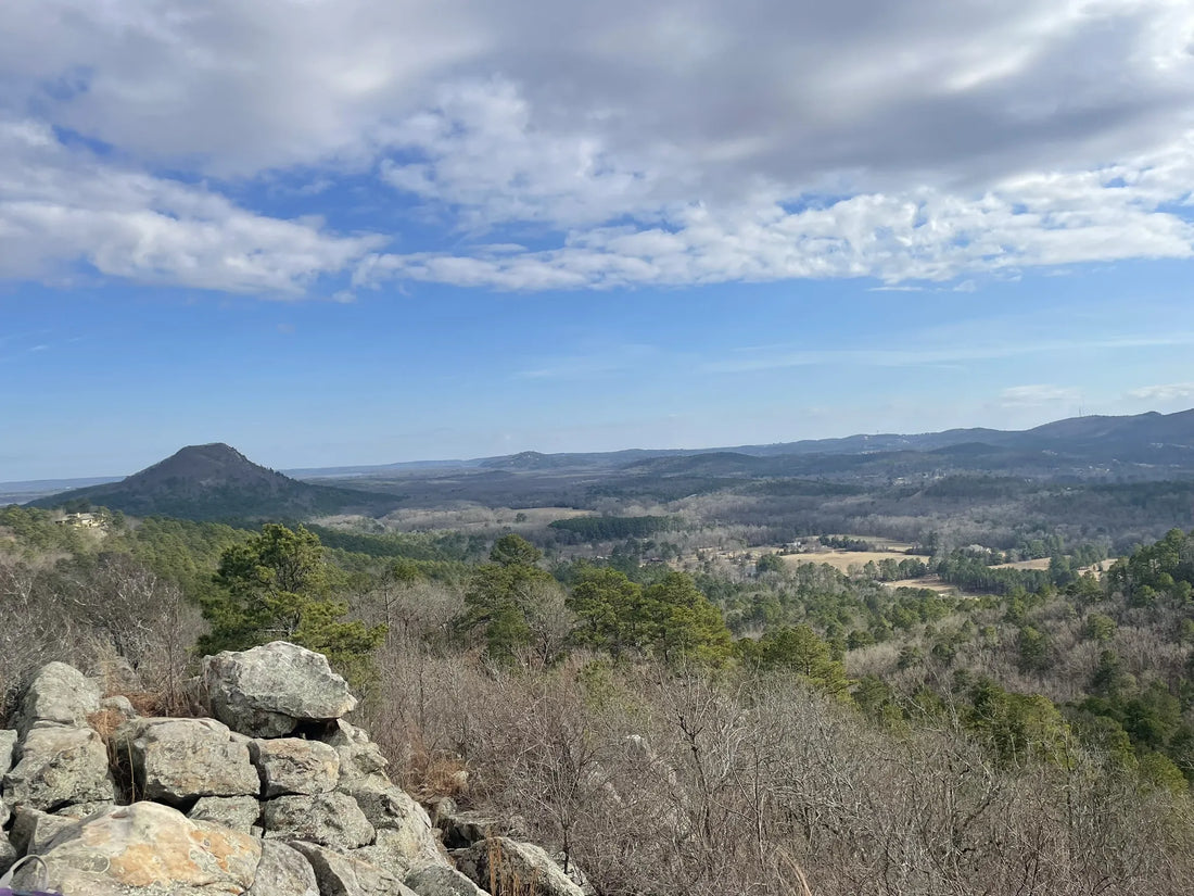 Top Influencer Marketing Campaign Agencies and Companies in Arkansas