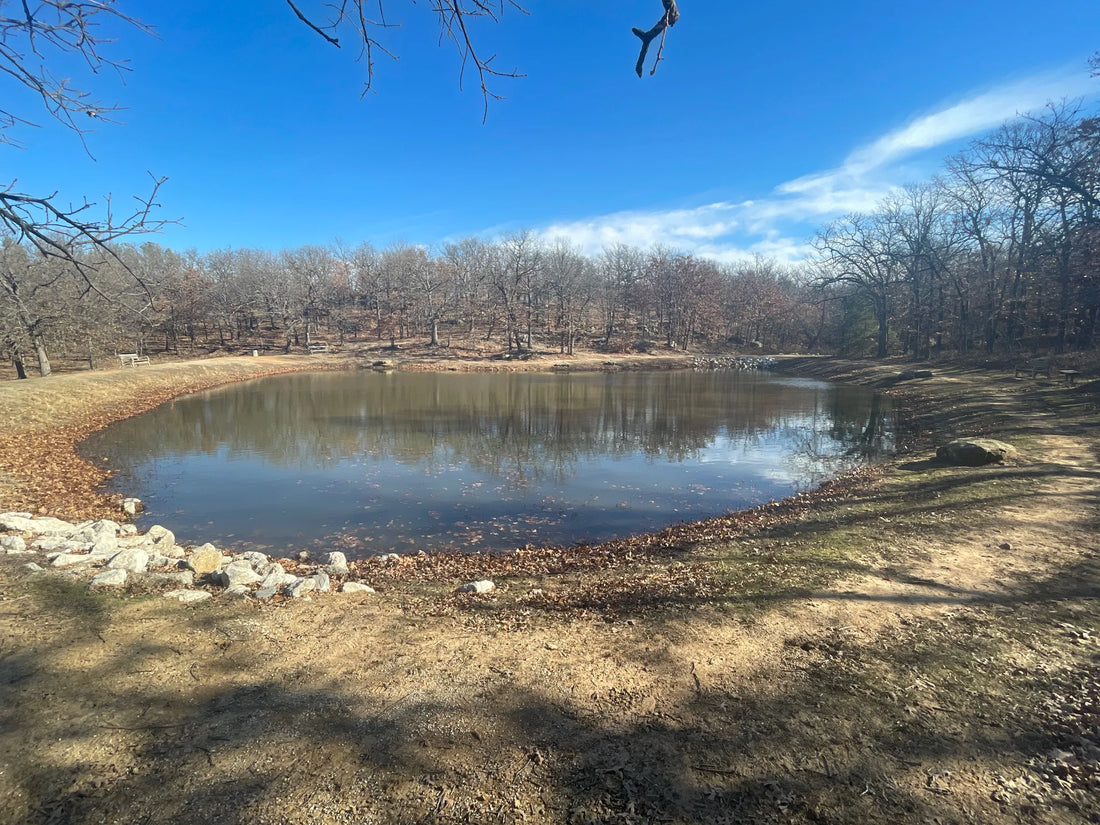 Best or Top Web & Mobile Design Agencies and Companies in Shawnee, Oklahoma