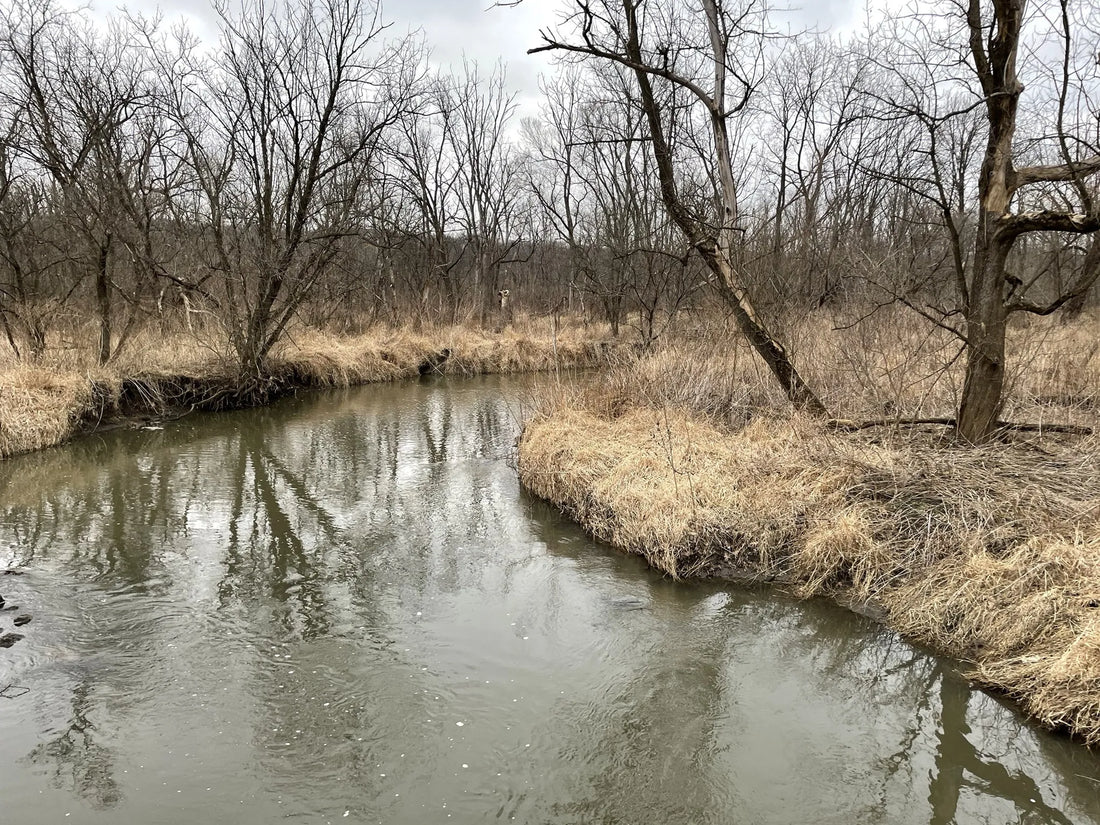 Top or Best Photo Editing Agencies and Companies in Illinois