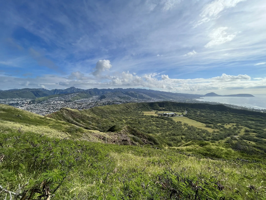 Top Influencer Campaign Strategy Agencies and Companies in Hawaii