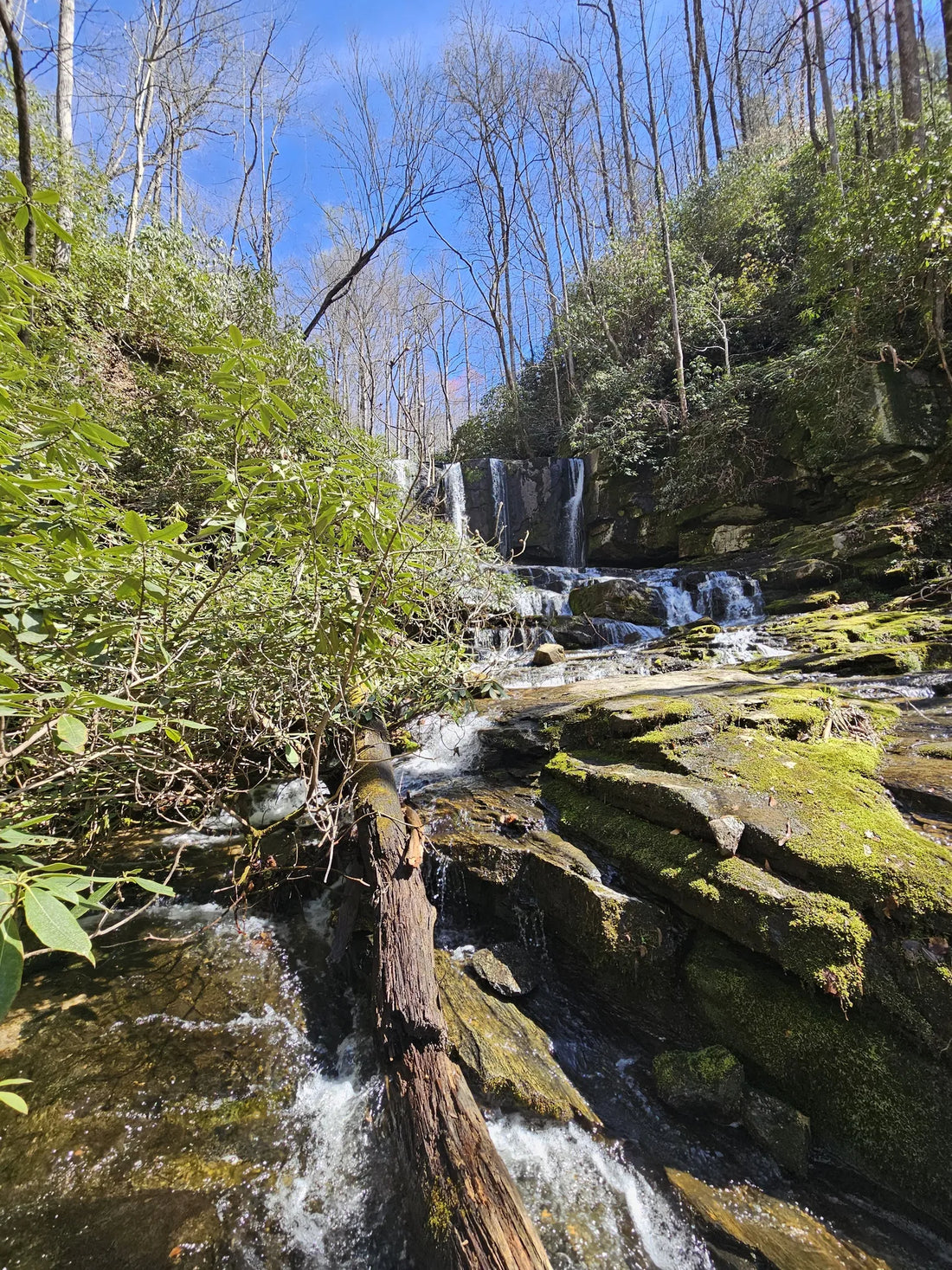 Best or Top Portraits & Caricatures Agencies and Companies in Aiken, South Carolina