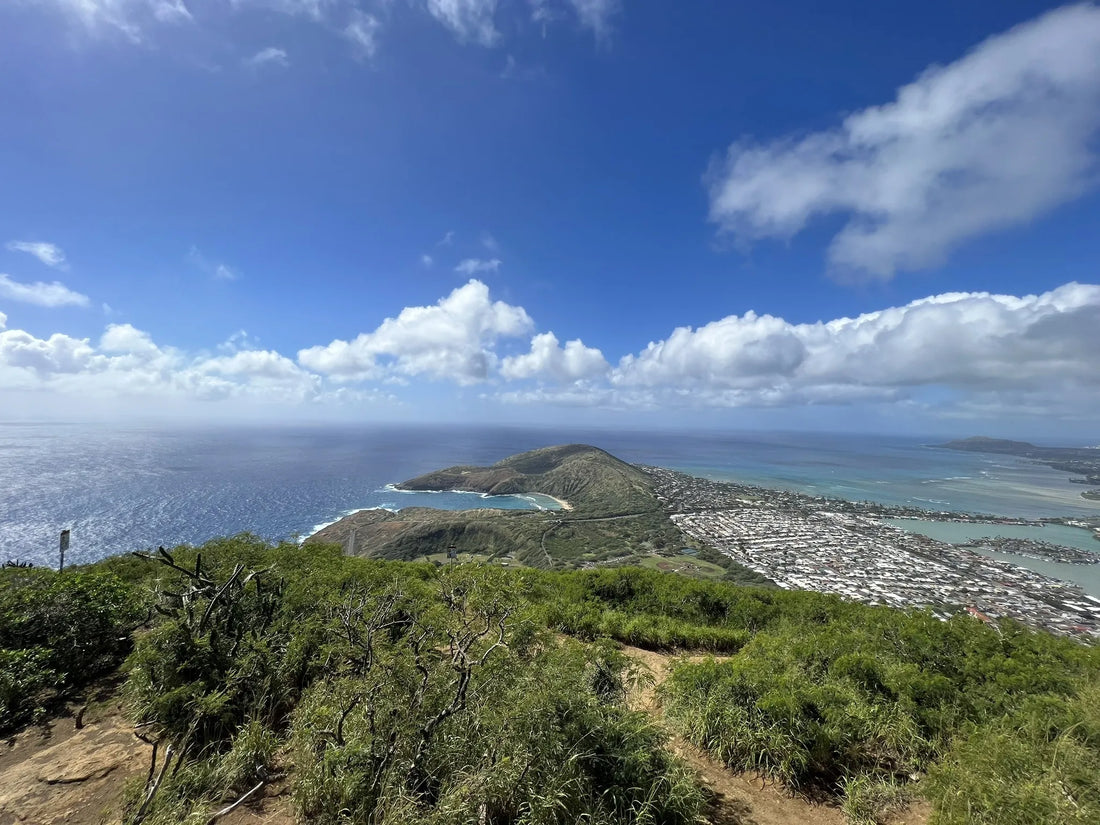 Top or Best Custom Video Graphic Agencies and Companies in Hawaii