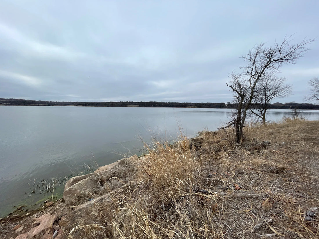 Best or Top logo Design Agencies and Companies in Ponca City, Oklahoma