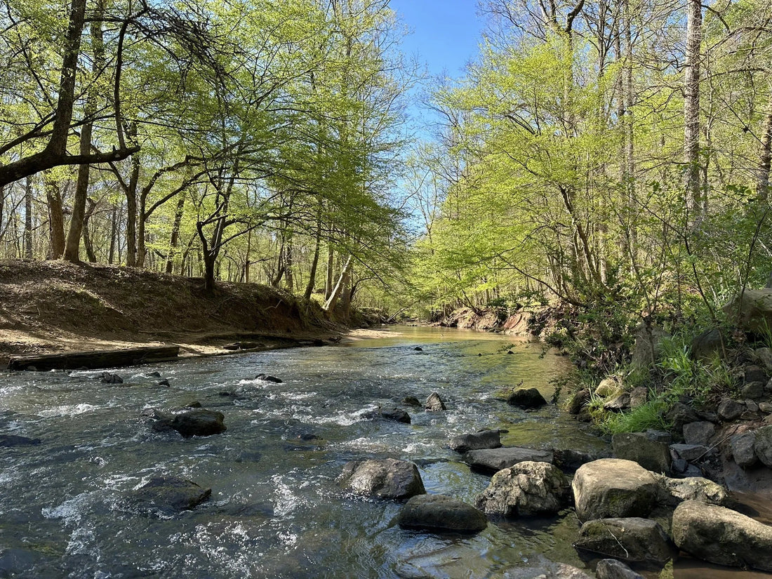 Best or Top Graphic Design Agencies and Companies in Fort Mill, South Carolina