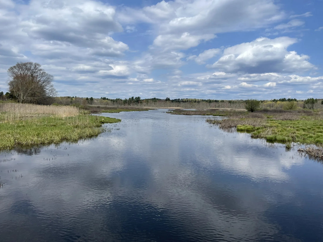 Top Influencer Marketing Campaign Agencies and Companies in Connecticut