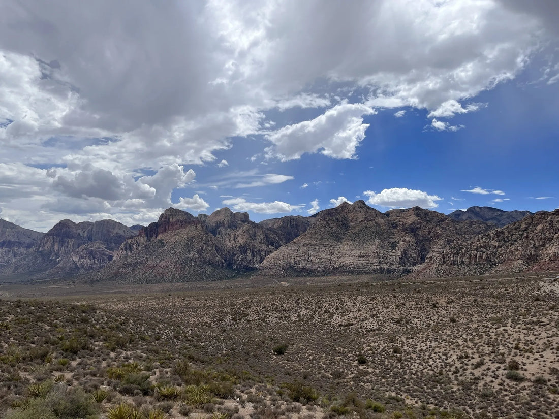 Best or Top Custom Graphics for Videos Agencies and Companies in North Las Vegas, Nevada