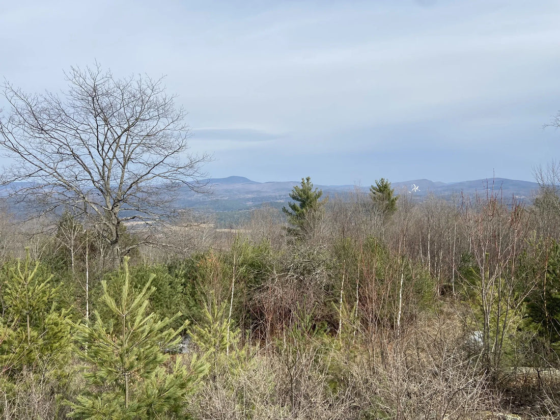 Best or Top LinkedIn Management Agencies and Companies in Winooski, Vermont