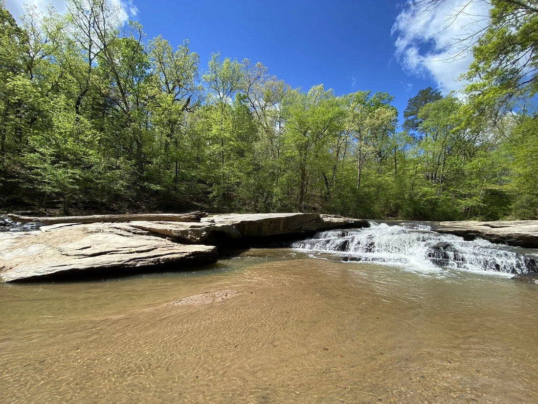 Best or Top Logo Design Agencies and Companies in Aiken, South Carolina